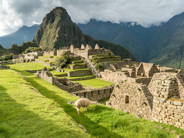 A UNESCO Utopia
